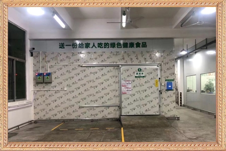 冷(lěng)凍室